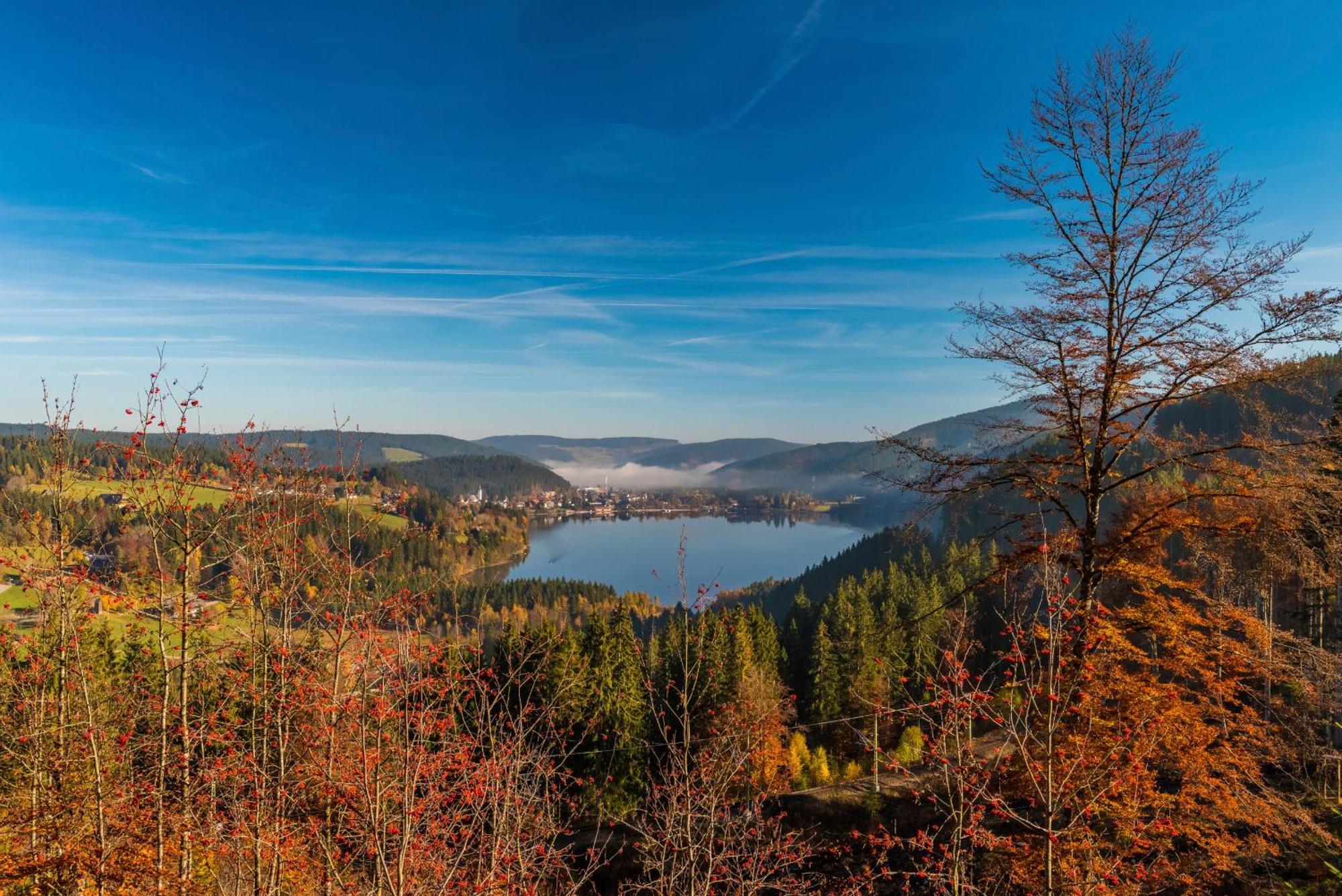 Fewo Schwarzwaldstern 2, Todtnau, 4 Schlafzimmer ภายนอก รูปภาพ