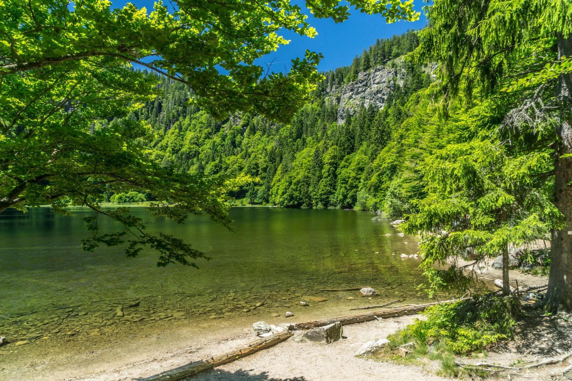 Fewo Schwarzwaldstern 2, Todtnau, 4 Schlafzimmer ภายนอก รูปภาพ